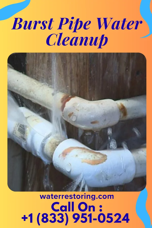 Burst Pipe Water Cleanup in Calmar, IA