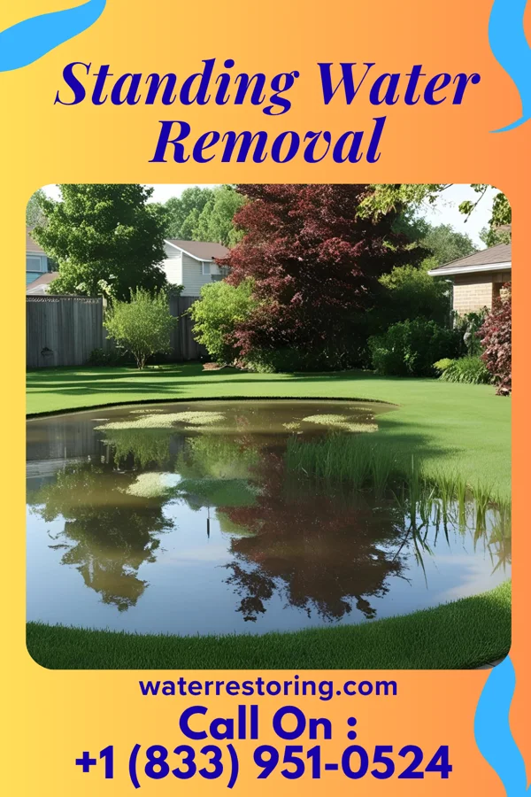 Standing Water Removal in Calmar, IA